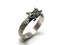 Horny Toad Ring - Dragon Scale - Vintage Silver by Salish Sea Inspirations product 1